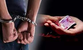 sidhi, Patwari arrested, taking bribe 