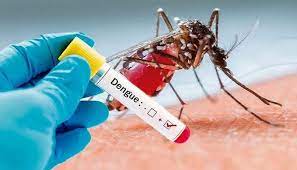gwalior, suspected patients,  found  dengue