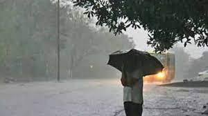 Gwalior, 12.7 mm rain, last 24 hours