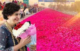 raipur, roses laid ,welcome Priyanka