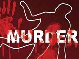 dhamtari, Youth murdered ,old enmity