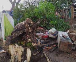dhamtari, Mango tree fell ,husband and wife died