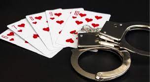 dhamtari, Eight gamblers arrested, gambling