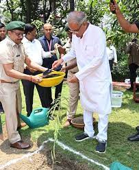 raipur, Chief Minister Baghel, planted Amla sapling 