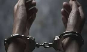 Raigad,Youth arrested , sword