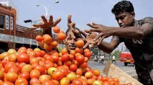 new delhi, Central government ,tomatoes 