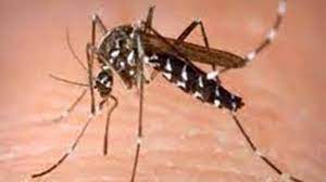 raipur,Malaria positive ,youth died 