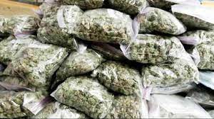 jagdalpur, One accused arrested , illegal ganja 