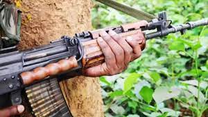 Bijapur, Naxalites abducted ,50 villagers