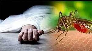raipur, , died ,dengue 