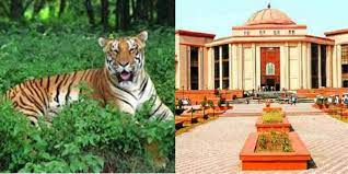 raipur, High court , tiger reserve 