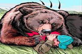 Korba, Bear fatally ,attacks villager