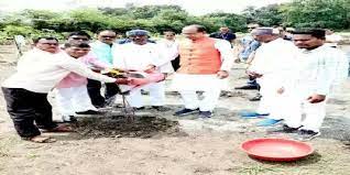 bhopal, Social workers ,planted saplings 