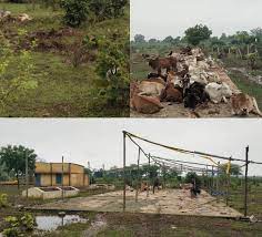 korba, 29 cattle died , Gauthan