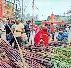 raipur,  Devuthani Ekadashi festival, sugarcane price 