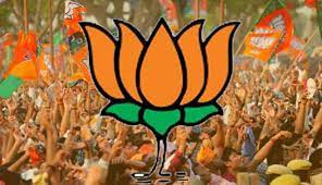 indore,Clean sweep , BJP 