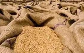 satna,13 trucks of wheat , district manager suspended