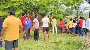 dhamtari,Dead body , female leopard 