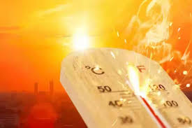 bhopal, Severe heat alert , Madhya Pradesh 