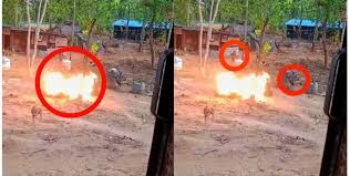 narayanpur, Video of Naxalites,BGL attack 