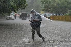 raipur, Meteorological Department, issued yellow alert