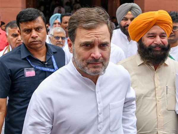 new delhi, MP Rahul Gandhi , Lok Sabha