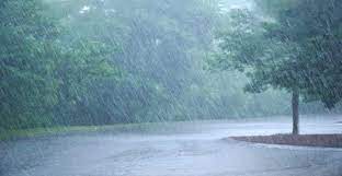 raipur,  rainfall,Chhattisgarh