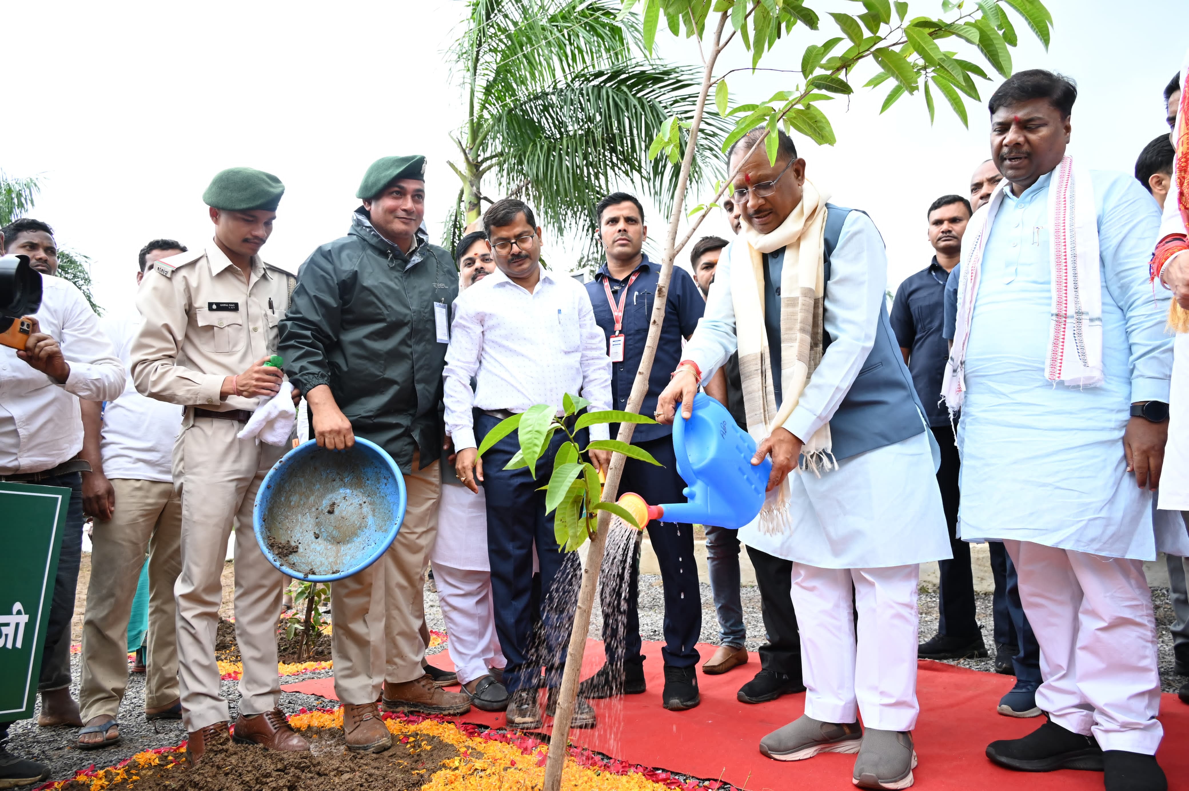 jagdalpur,  mega tree plantation campaign,mango tree