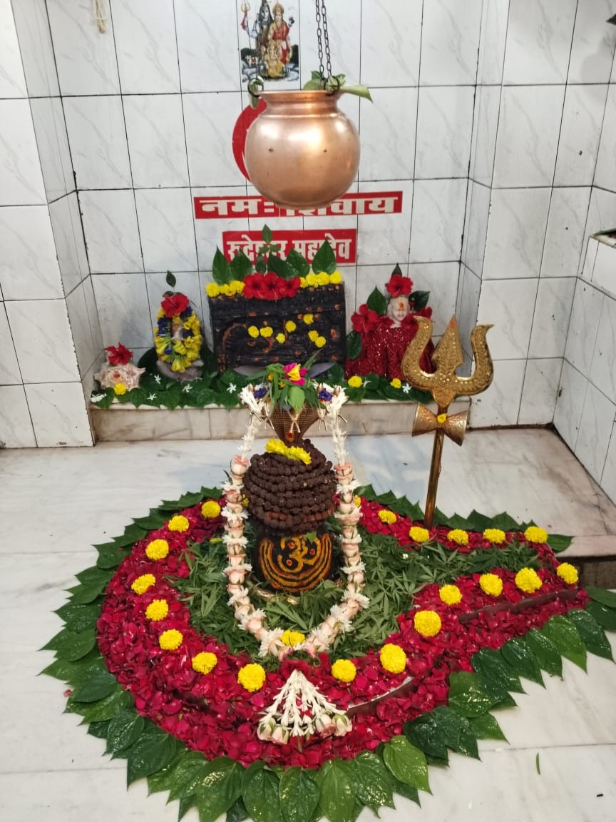 dhamtari,   devotees , Rudreshwar Mahadev temple 