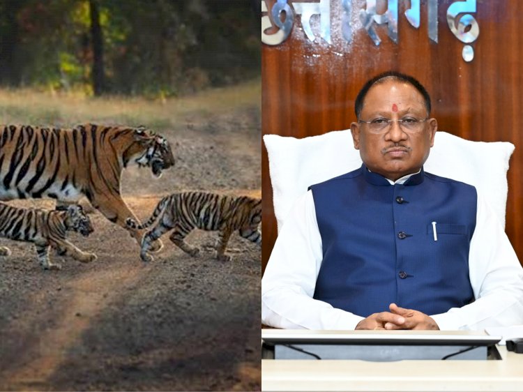  third largest tiger reserve  in Chhattisgarh