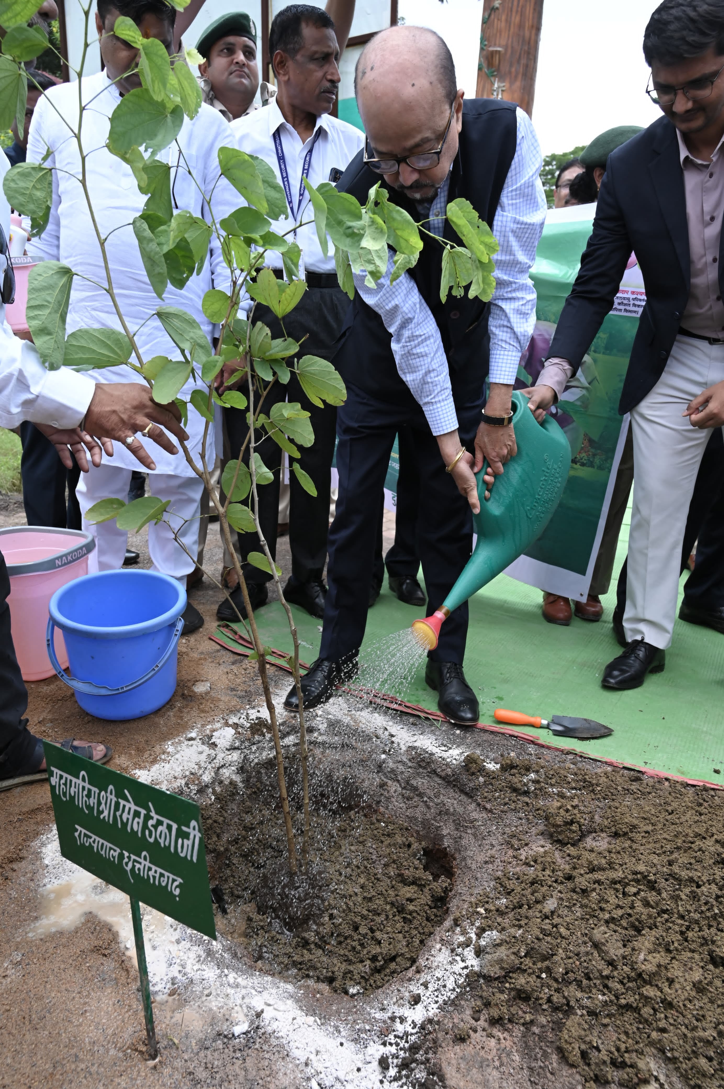 raipur, Governor Ramen Deka , Kachnar tree