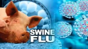 bilaspur,   patient suffering, swine flu dies