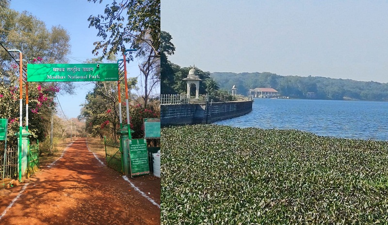 bhopal, Madhav National Park ,Tiger Reserve