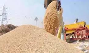 raipur,   metric tonnes ,paddy  