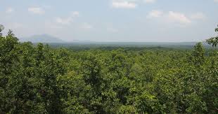 raipur, Chhattisgarh achieved , first position 