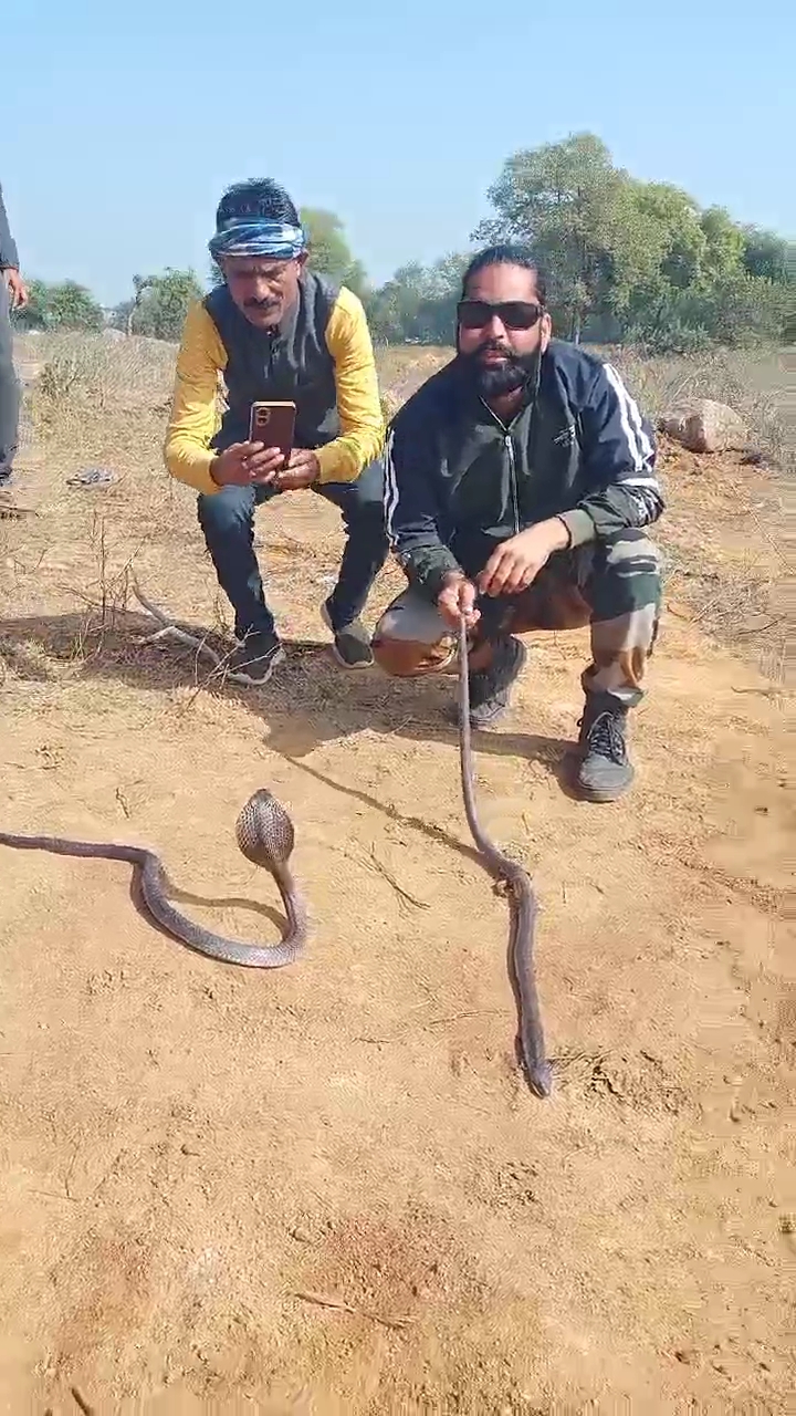 shivpuri,   snake died , JCB machine 