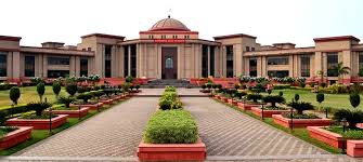 bilaspur, High Court ,electric poles