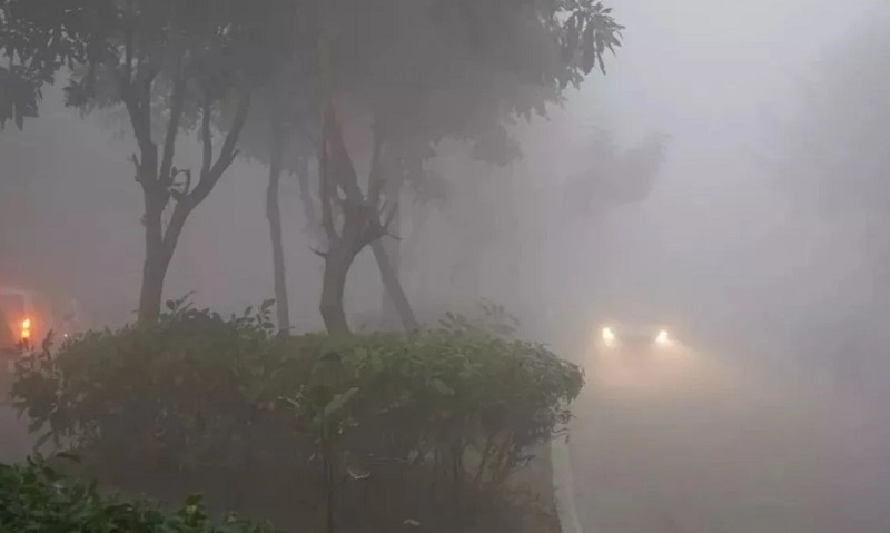 bhopal, Madhya Pradesh, grip of cold wave