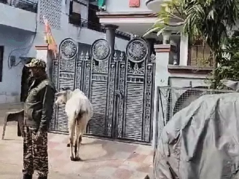 bhopal, ED raids, former registrar Arora