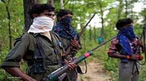 bijapur, Naxalites killed,villager on suspicion 