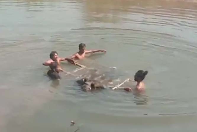 kanker,  unknown youth ,Singarbhath village