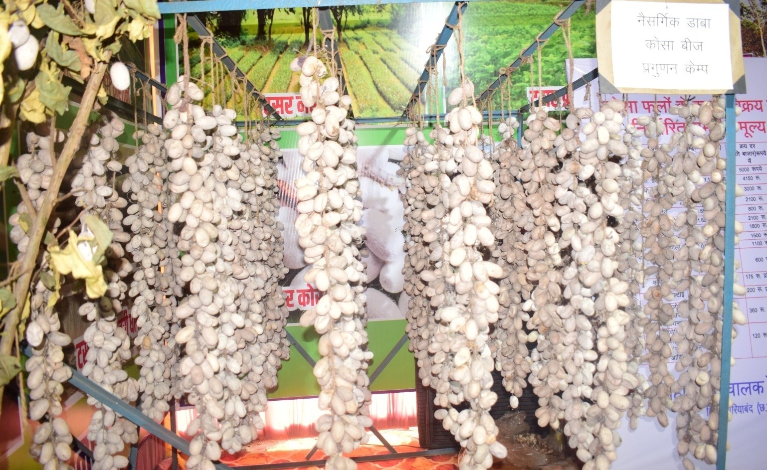 raipur, Kosa exhibition , Rajim Kumbh Mela