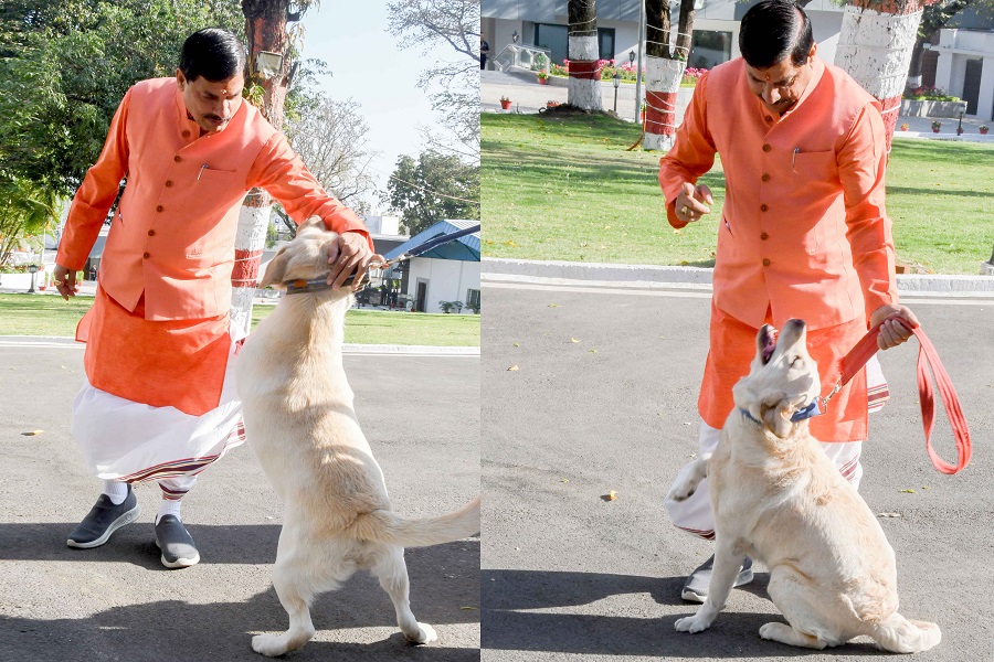 bhopal,Chief Minister , dog squad