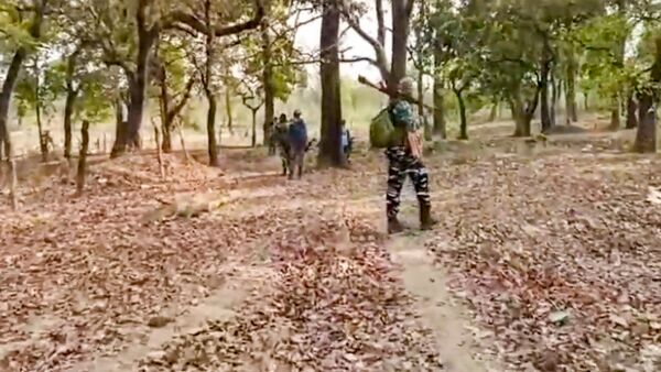 gariaband,   Chhattisgarh, security forces 