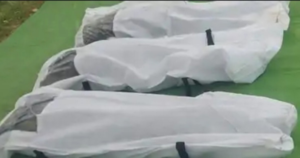 dantewada,3 Naxalites ,Dantewada-Bijapur encounter