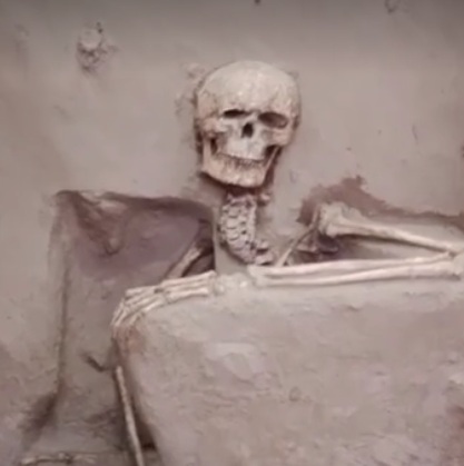 mehsada, Skeleton  Vadnagar  , DNA report reveals