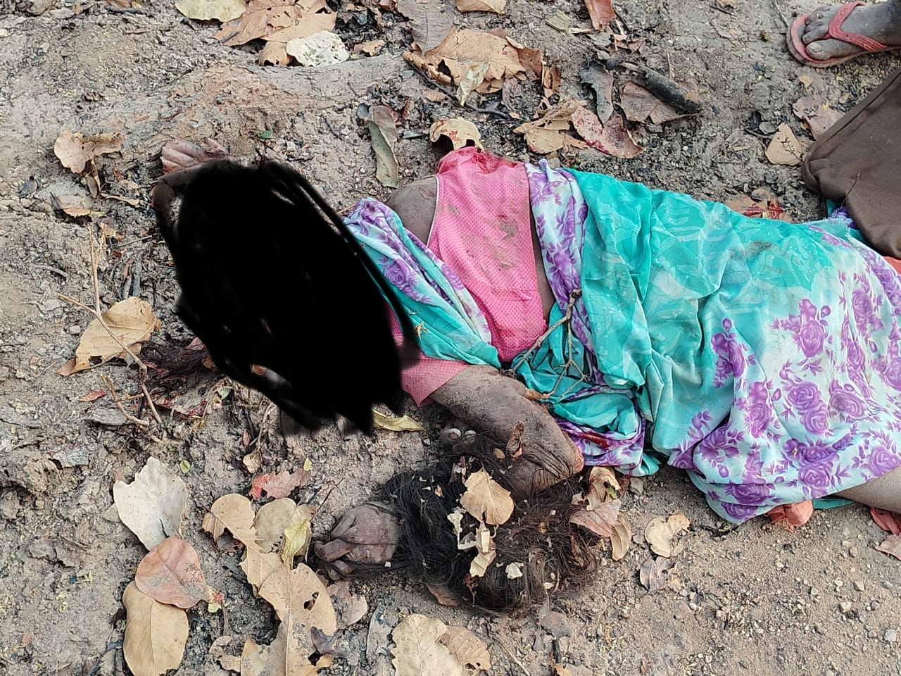 balrampur, Terror of elephant, woman   death