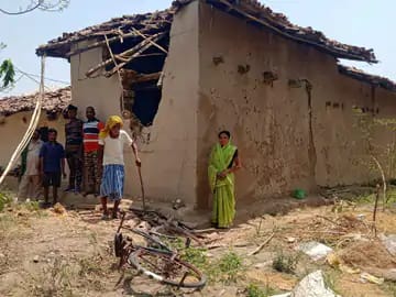 korba, Elephant terror, four houses destroyed