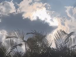 raipur, Rain alert,  Chhattisgarh  