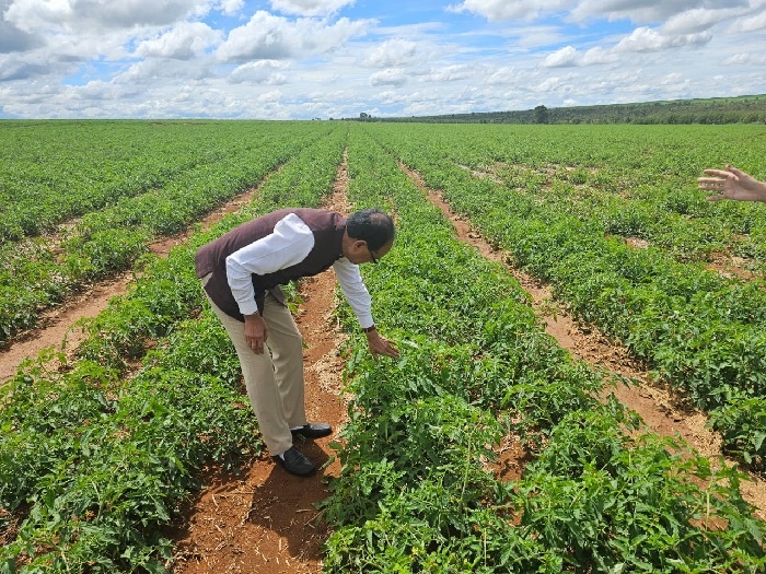 new delhi, Agriculture Minister ,Brazil